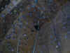 tom_1.jpg (17706 bytes)